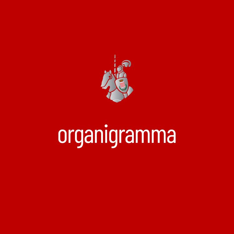 Organigramma